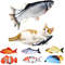 1TF4Pet-Cat-Toy-Simulation-Electric-Fish-Built-in-Rechargeable-Battery-Cat-Entertainment-Interactive-Molar-Cat-Electric.jpg