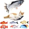 1TF4Pet-Cat-Toy-Simulation-Electric-Fish-Built-in-Rechargeable-Battery-Cat-Entertainment-Interactive-Molar-Cat-Electric.jpg