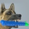 4f71Dog-Molar-Stick-Food-Grade-Silicone-BPA-Free-Bone-Shape-Dog-Tooth-Cleaning-Interactive-Bite-Resistant.jpg