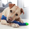 UDyUDog-Molar-Stick-Food-Grade-Silicone-BPA-Free-Bone-Shape-Dog-Tooth-Cleaning-Interactive-Bite-Resistant.jpg