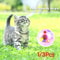 H9wZ1-3pcs-Interactive-Ball-Toy-Flash-Paranormal-Equipment-Pet-Hunting-Flash-Motion-Balls-Pet-Toy-Light.jpg