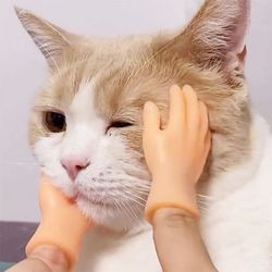 mini hands finger toys: funny novelty for adults, cat teaser, halloween gift