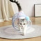 DEfNCat-Tunnel-For-Indoor-Cats-Collapsible-Toy-Coil-Spiral-Colorful-Springs-Cat-Pet-Crinkle-Tunnels-For.jpg