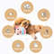 LHbCPetSmartCatToyElectricAutomaticPlushBouncingToysInteractiveToysSelfmovingKittenToy