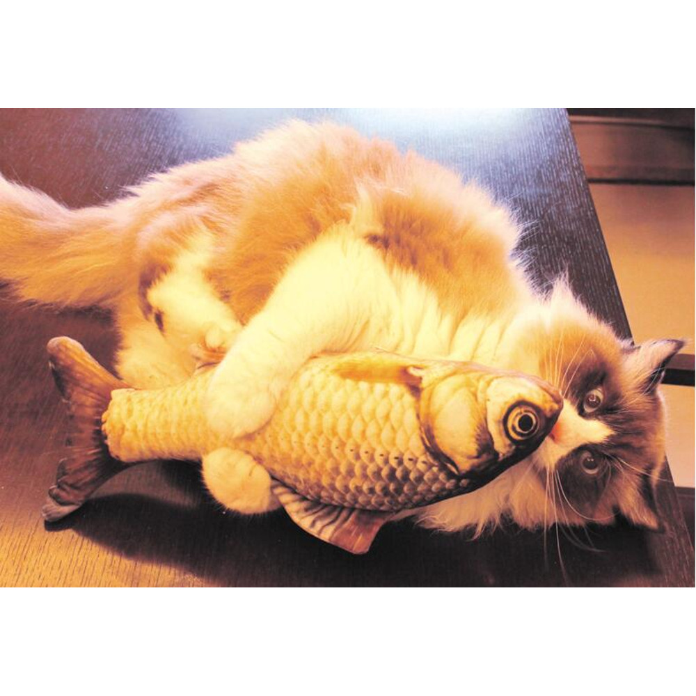 NaLX20cm-Cat-Favor-Fish-Toy-Stuffed-Fish-Shape-Cat-Scratch-Board-Scratching-Post-plush-toys-For.jpg
