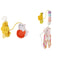 oT1LPet-Cat-Toys-Elasticity-Retractable-Hanging-Door-Type-Interactive-Toy-For-Kitten-Mouse-Catnip-Scratch-Rope.jpg