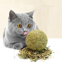 cat wall stick-on ball toy: teeth cleaning, catnip, snacks & more | pet supplies