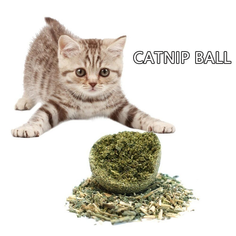 5g5eCat-Wall-Stick-on-Ball-Toy-Pet-Teeth-Grinding-Tooth-Cleaning-Cat-Grass-Balls-Cat-Snacks.jpg