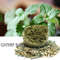 iS9HCat-Wall-Stick-on-Ball-Toy-Pet-Teeth-Grinding-Tooth-Cleaning-Cat-Grass-Balls-Cat-Snacks.jpg
