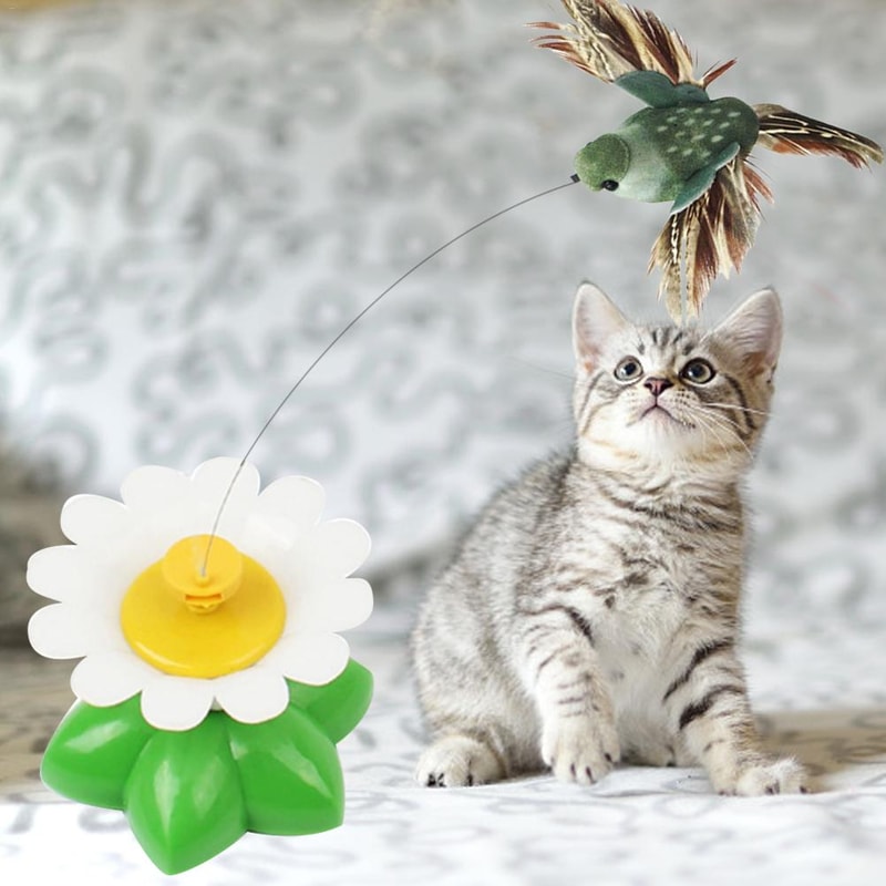 jerLCat-Toy-Electric-Rotating-Colorful-Butterfly-Bird-Funny-Dog-Cat-Toys-Pet-Seat-Scratch-Toy-Pet.jpg