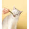 8SB56Pcs-Kitten-Chew-Toys-Catnip-Sticks-Cat-Molar-Natural-Wood-Polygonum-Sticks-Reusable-Pet-Snacks-Cleaning.jpg