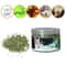 4iiC10g-20g-30g-Premium-Natural-Catnip-Kitten-Catnip-Leaves-for-Cat-Mint-Treats-Pets-Cats-Supplies.jpg