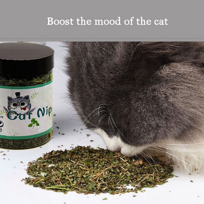 310L10g-20g-30g-Premium-Natural-Catnip-Kitten-Catnip-Leaves-for-Cat-Mint-Treats-Pets-Cats-Supplies.jpg