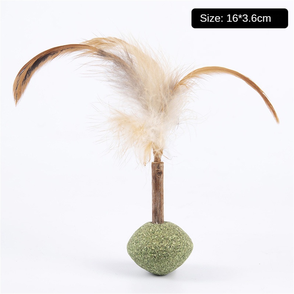 UKANCatnip-Cat-Grass-Chew-Toy-To-Remove-Hair-Ball-Molar-Rod-Mouse-Chicken-Feather-Edible-Cat.jpg