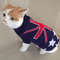 nPRFCute-Cat-Sweater-Costume-Winter-Warm-Pet-Clothes-for-Cats-Katten-Sphynx-Pullover-Mascotas-Clothing-Gatos.jpg