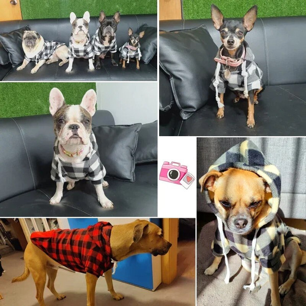 Hq8DWinter-Warm-Pet-Dog-Clothes-Soft-Wool-Dog-Hoodies-Outfit-For-Small-Dogs-Chihuahua-Pug-Sweater.jpg