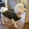 zBXkWarm-Pet-Dog-Vest-Jacket-Autumn-Winter-Dog-Clothes-French-Bulldog-Chihuahua-Clothing-For-Small-Medium.jpg