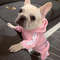 RaRzNew-Pet-Dog-Clothes-Spring-Dog-Hoodies-Coat-Letter-Cute-Small-Dogs-Chihuahua-Pug-Yorkshire-Puppy.jpg