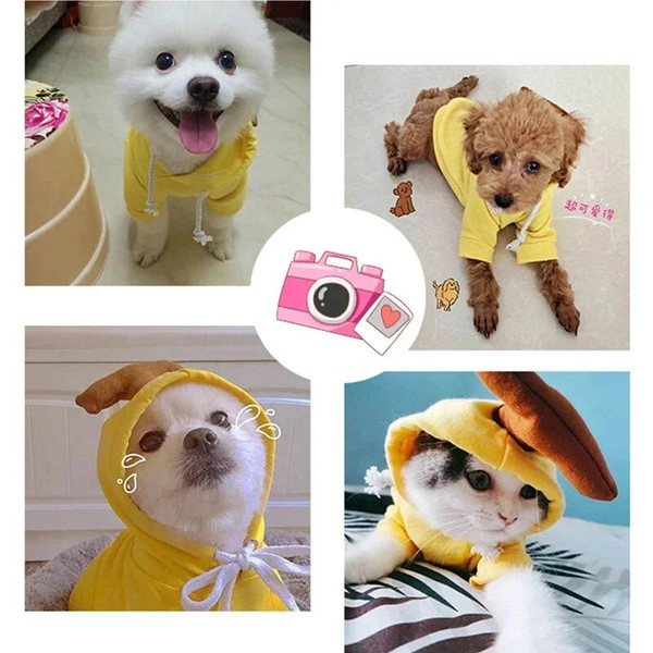 GCBLCute-Fruit-Dog-Clothes-for-Small-Dogs-hoodies-Warm-Fleece-Pet-Clothing-Puppy-Cat-Costume-Coat.jpg