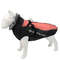 CRdYWaterproof-Large-Dog-Clothes-Winter-Dog-Coat-With-Harness-Furry-Collar-Warm-Pet-Clothing-Big-Dog.jpg