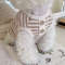 I1UR2023-Pet-Dog-Striped-Sweatshirt-Dog-Clothes-for-Small-Dogs-Puppy-Summer-Clothes-Soft-Cat-Dog.jpg