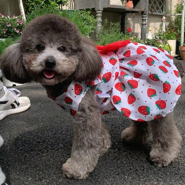 zljHPrinted-Bow-Pet-Dog-Dress-Cute-Chihuahua-Princess-Skirts-Pet-Dress-For-Small-Medium-Dogs-Skirt.jpg