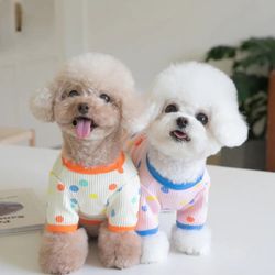 Colorful Dot BaseCoat Dog T-shirt: Autumn/Winter Pet Clothing