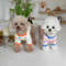 QvjIAutumn-Winter-Colorful-Dot-BaseCoat-Dog-Colorful-T-shirt-Home-Pet-Clothing-Cat-Dog-Clothing-Pet.jpg