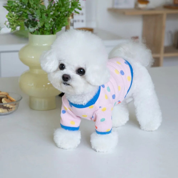 GmC7Autumn-Winter-Colorful-Dot-BaseCoat-Dog-Colorful-T-shirt-Home-Pet-Clothing-Cat-Dog-Clothing-Pet.jpg