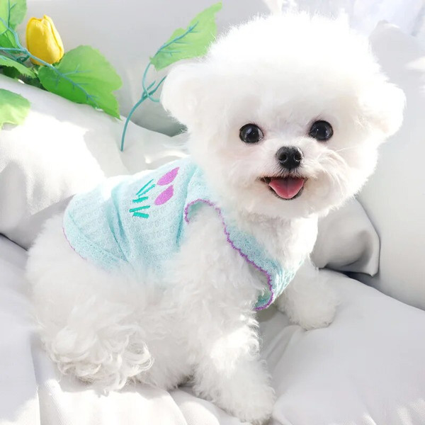 5riQ2024-Pet-Cat-Dog-Vest-Puppy-Summer-Clothes-Breathable-Mesh-Solid-Dog-Suspendera-Cute-Dog-Costume.jpg