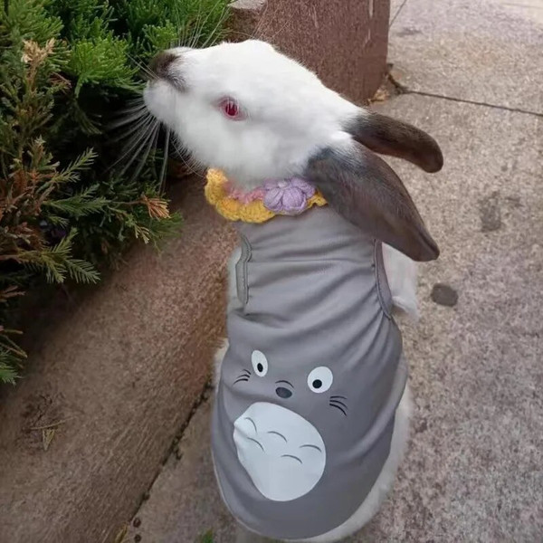 mstpSummer-Rabbit-Cat-Clothes-Cute-Cartoon-Pet-Vest-for-Cats-Rabbits-Bunny-Clothing-Kitten-Sphynx-Pullover.jpg