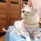 0uv9Spring-Cotton-Pet-Cat-Clothes-for-Cats-Gotas-Mascotas-Clothing-Sweet-Stripe-Puppy-Sphynx-Cat-Katten.jpg