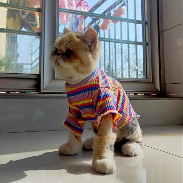 9599Spring-Cotton-Pet-Cat-Clothes-for-Cats-Gotas-Mascotas-Clothing-Sweet-Stripe-Puppy-Sphynx-Cat-Katten.jpg