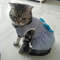 T9pQCat-Puppy-Princess-Dress-Summer-Pet-Clothes-Striped-Plaid-Dresses-with-Bow-for-Cats-Kitten-Rabbit.jpg