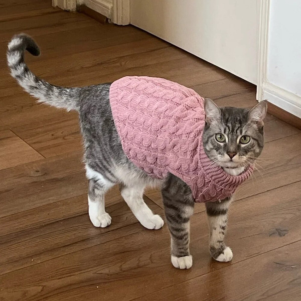 nzzNWarm-Knitted-Sphynx-Cat-Sweater-Winter-Pet-Clothes-for-Cats-mascotas-Clothing-Katten-Kedi-Kitten-Puppy.jpg
