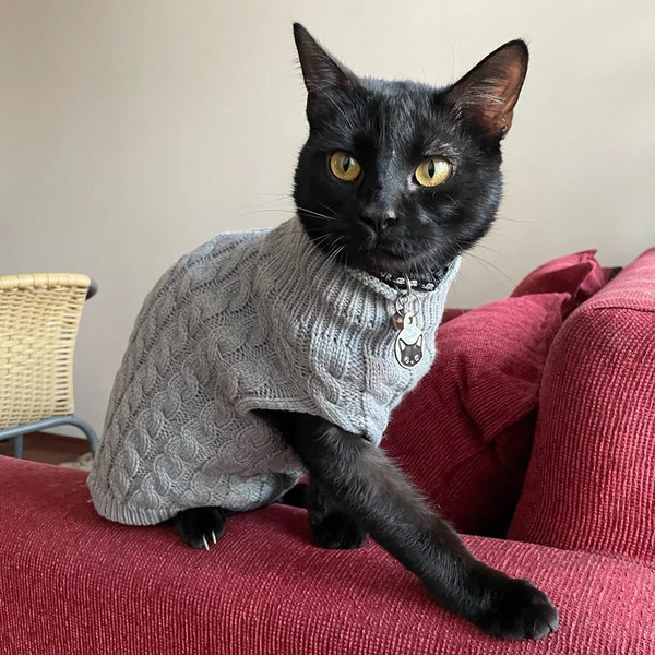 wGXuWarm-Knitted-Sphynx-Cat-Sweater-Winter-Pet-Clothes-for-Cats-mascotas-Clothing-Katten-Kedi-Kitten-Puppy.jpg