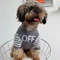 a08KPet-Clothing-Dog-Clothes-Dog-Fashion-Brand-Warm-Comfortable-Knitted-Sweater-Pet-Clothing-Cute-Grey-Sweater.jpeg