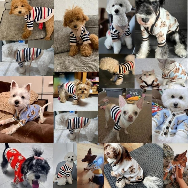 hSPnWinter-Dog-Clothes-Chihuahua-Soft-Puppy-Kitten-High-Striped-Cardigan-Warm-Knitted-Sweater-Coat-Fashion-Clothing.jpg