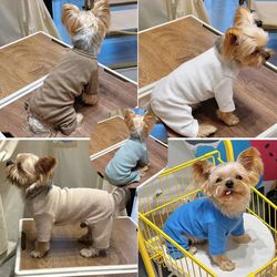 Pure Cotton Dog Pajamas: 5 Colors for Small/Medium Dogs