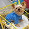 JXiUPure-Cotton-Dog-Clothes-5-Colors-Boy-Girl-Dog-Pajamas-Onesies-For-Small-Medium-Dogs-Puppy.jpg
