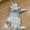ElFaSoft-Cotton-Dog-Cat-Jumpsuit-Pajamas-for-Cats-Gotas-Katten-Overalls-Puppy-Sphynx-Kedi-mascotas-Clothes.jpg