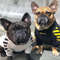 ckCiSUPREPET-Pet-Dog-Clothes-for-French-Bulldog-Adidog-Stripe-Pattern-Dog-Hoodie-Pet-Dog-Clothes-Dog.jpg