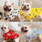 fHnJDog-Clothes-South-Korea-New-Work-for-Medium-Small-Dogs-Puppy-Hanbok-Set-Haki-Sweater-Leopard.jpg