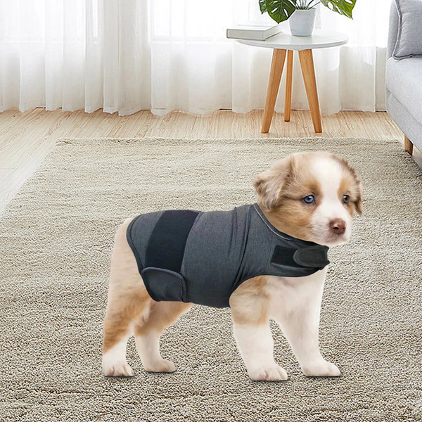 zkOMClassic-Dog-Anxiety-Jacket-Breathable-Thunder-Vest-For-Dogs-Thunder-Vest-For-Dogs-Anxiety-Shirt-Dog.jpg