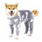 RS7iFlannel-Dog-Pajamas-Jumpsuit-Dogs-Pajamas-For-Medium-Large-Dogs-Bone-Moon-Pattern-Warm-Jumpsuits-Coat.jpg