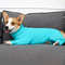 bbELPet-Home-Wear-Pajamas-Dog-Jumpsuit-Operative-Protection-Long-Sleeves-Bodysuit-Comfortable-For-Medium-Large-Dogs.jpg