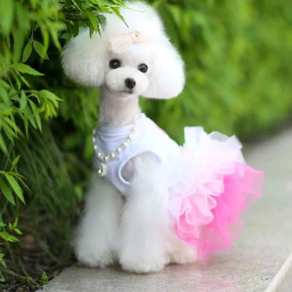 DHwQSweety-Pet-Skirt-for-Dog-Cat-Fashion-Dog-Puppy-Dress-Cute-Lace-Pet-Puppy-Skirt-Princess.jpg
