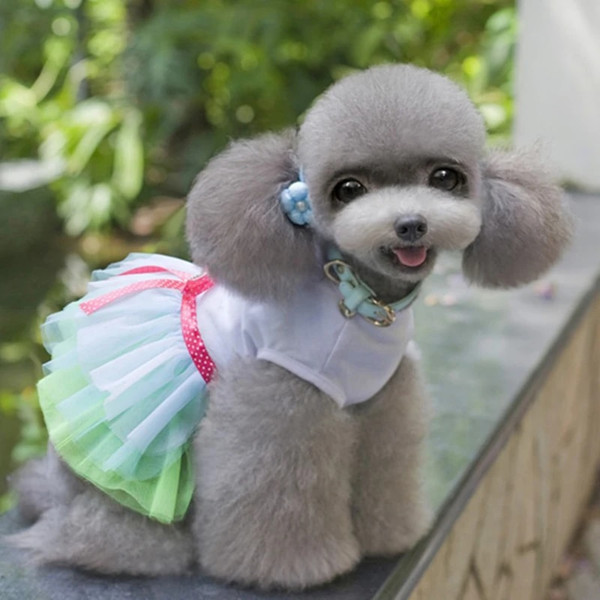 2zwbSweety-Pet-Skirt-for-Dog-Cat-Fashion-Dog-Puppy-Dress-Cute-Lace-Pet-Puppy-Skirt-Princess.jpg