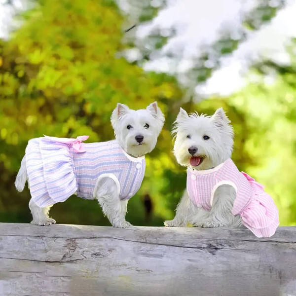 wMGHCute-Small-Medium-Cat-Dog-Princess-Dresses-Puppy-Bow-Knot-Dress-Pet-Tutu-Dresses-Striped-Mesh.jpg