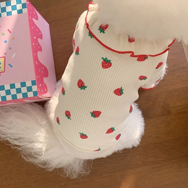 Y19oAutumn-Pet-Strawberry-Bottoming-Shirt-Teddy-Thermal-Vest-Poodle-Fruit-Clothes-Puppy-Soft-Two-Leg-Clothes.jpg